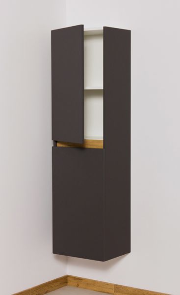 Badschrank INTRA Breite 40 cm mit 2 Türen, grafitgrau matt, vormontiert